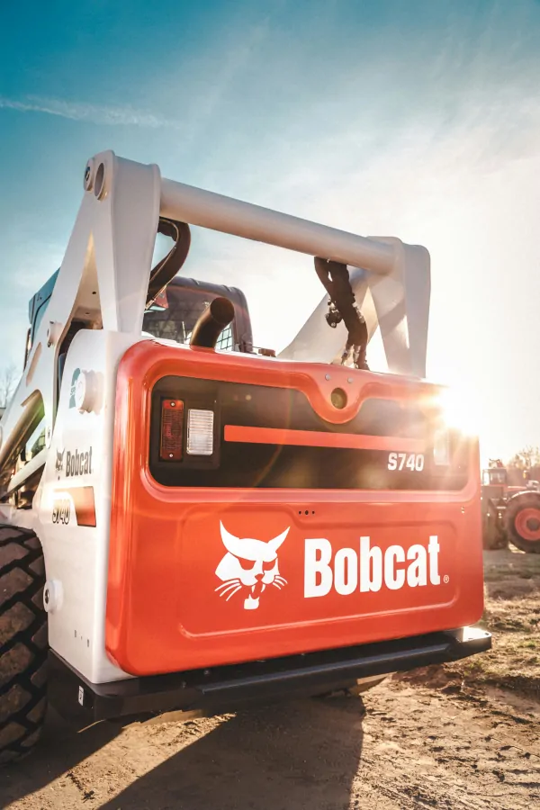 pexels-trupert-12835184_bobcat