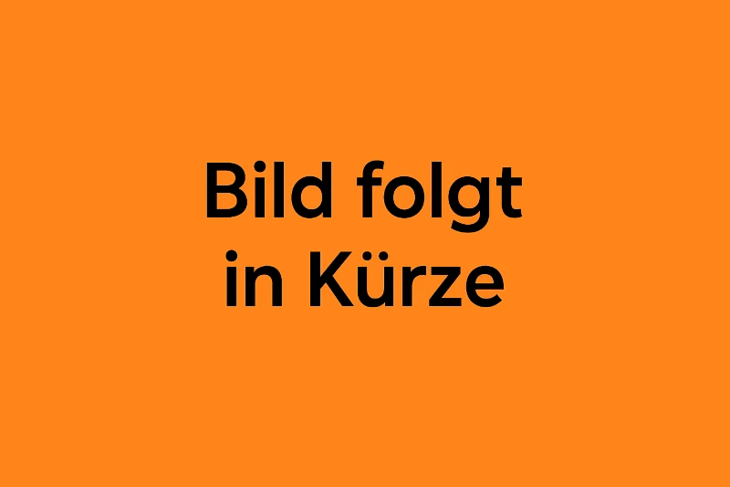 Pätzel Baumaschinen